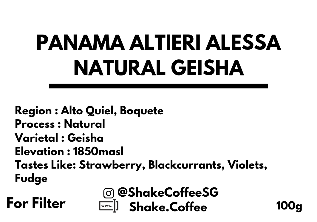 Panama Altieri Alessa Natural Geisha - Shake Coffee SG