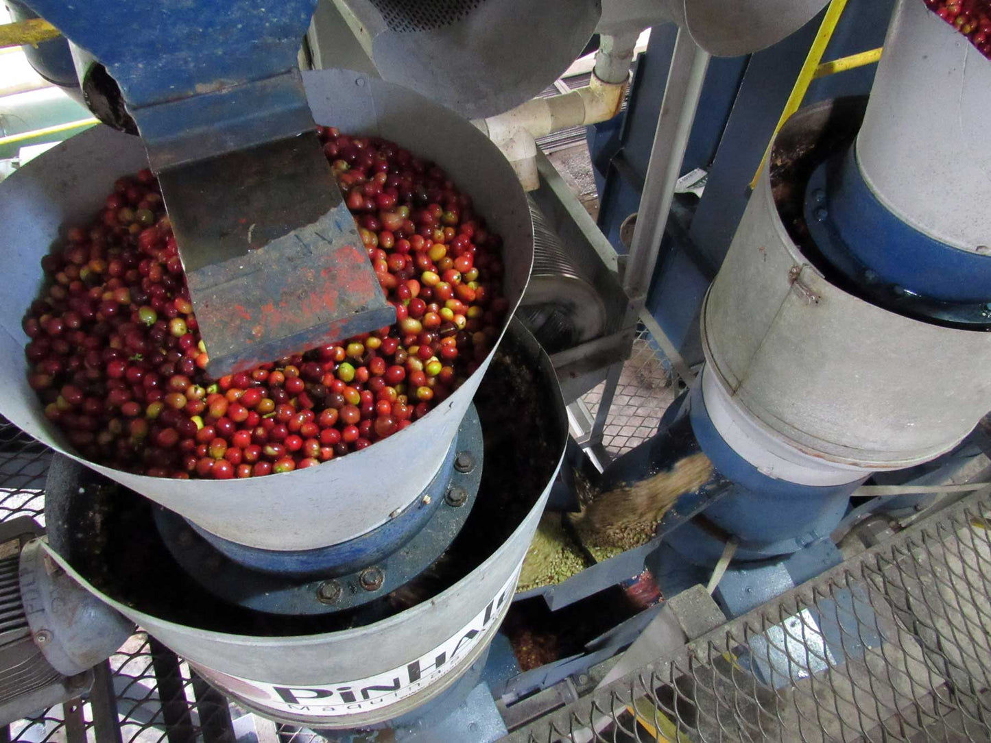 Mexico Finca Chanjul (Natural) - Shake Coffee SG