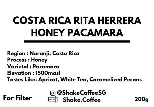 Costa Rica Rita Herrera Honey Pacamara