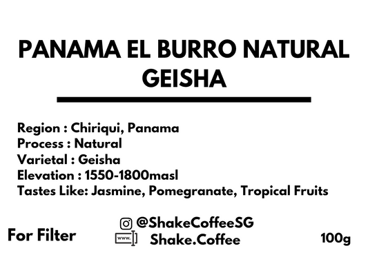 Panama El Burro Natural Geisha
