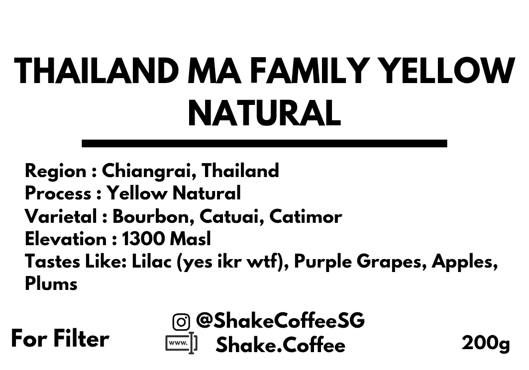 Thailand Ma Family Yellow Natural - Shake Coffee SG