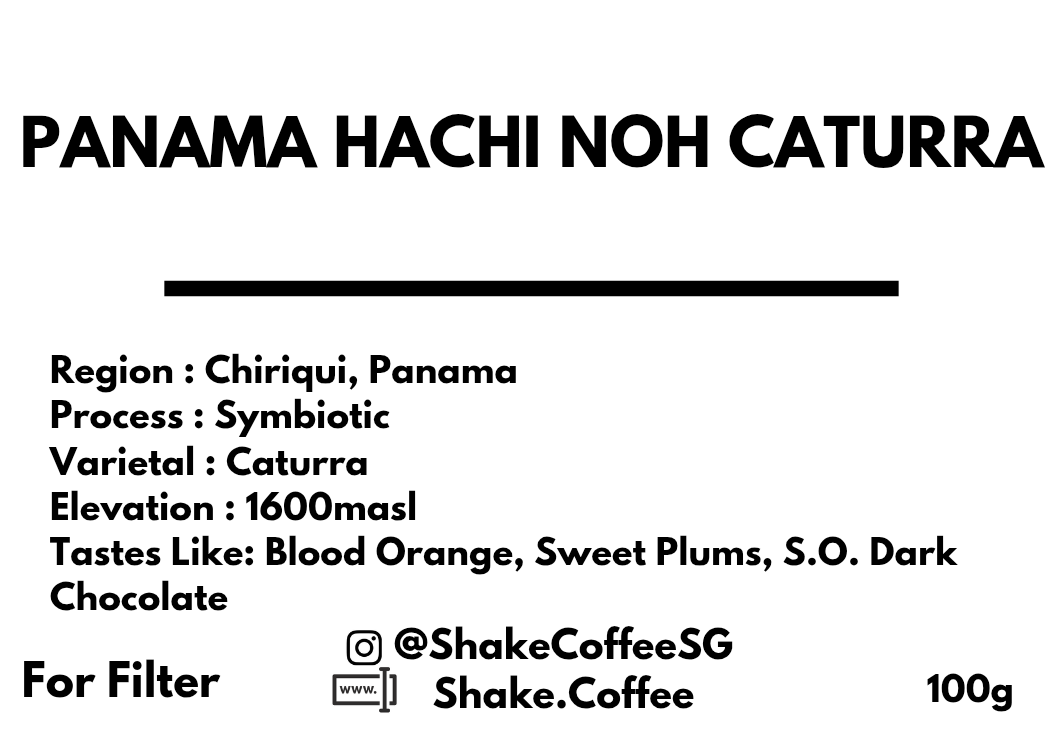 Panama Hachi NOH Caturra