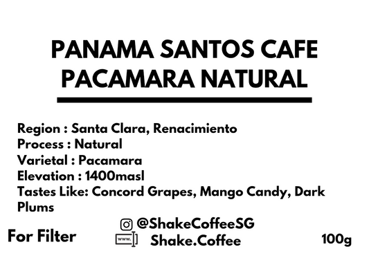 Panama Santos Cafe Pacamara Natural