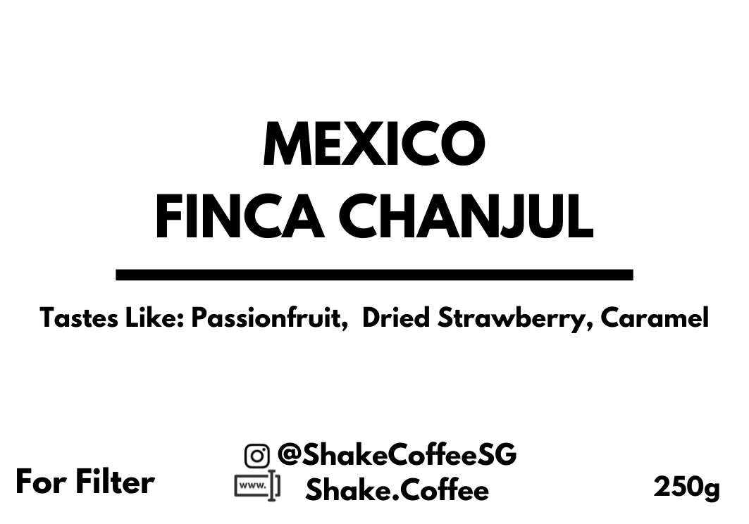 Mexico Finca Chanjul (Natural) - Shake Coffee SG